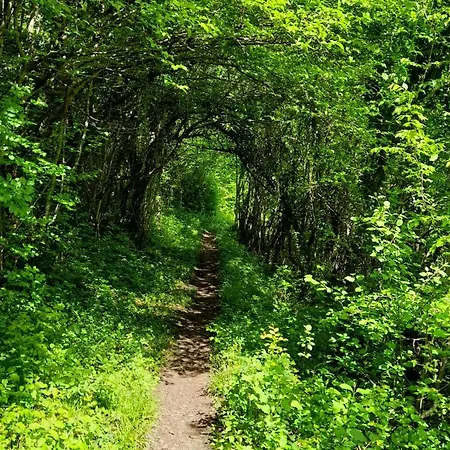 Vikendica Davidovic 度假居 Mliniste