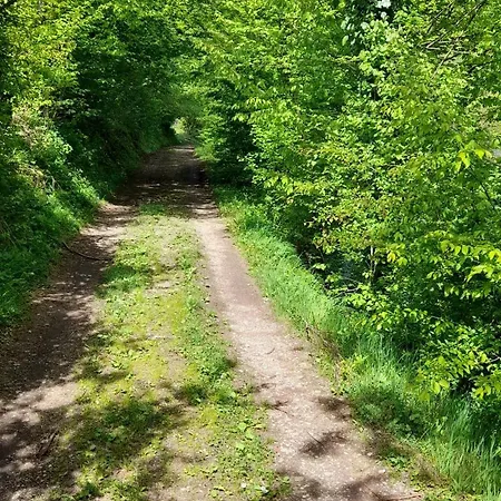 度假居 Vikendica Davidovic *