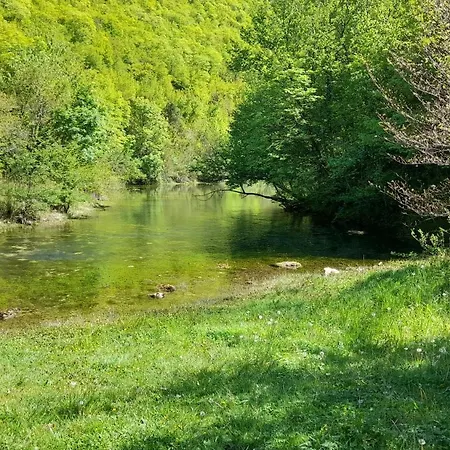 度假居 Vikendica Davidovic