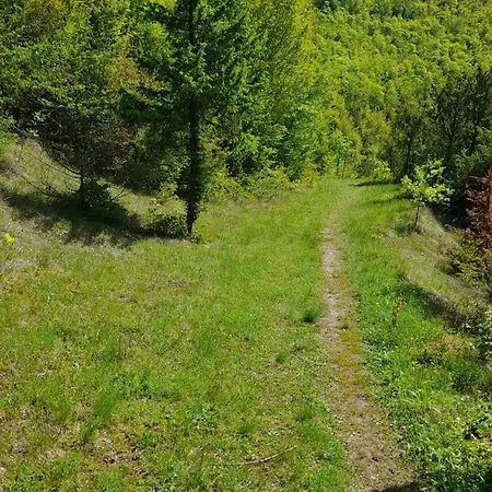 Vikendica Davidovic * Mliniste