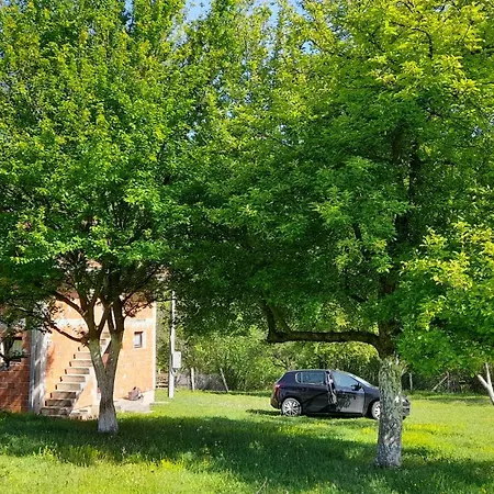 Vikendica Davidovic * Mliniste