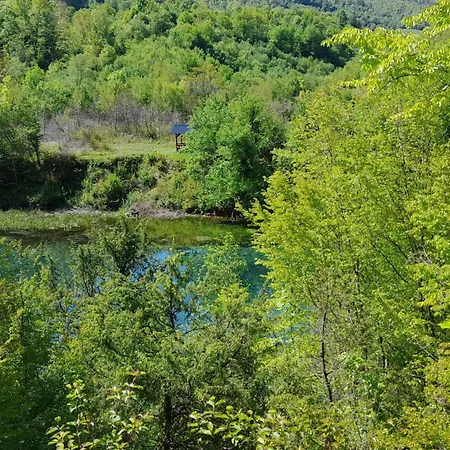 Vikendica Davidovic 度假居