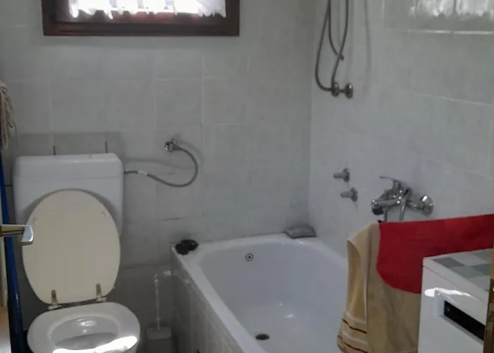 Vikendica Davidovic Ferienhaus *