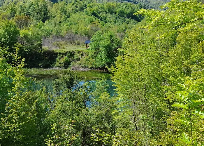 Vikendica Davidovic Ferienhaus